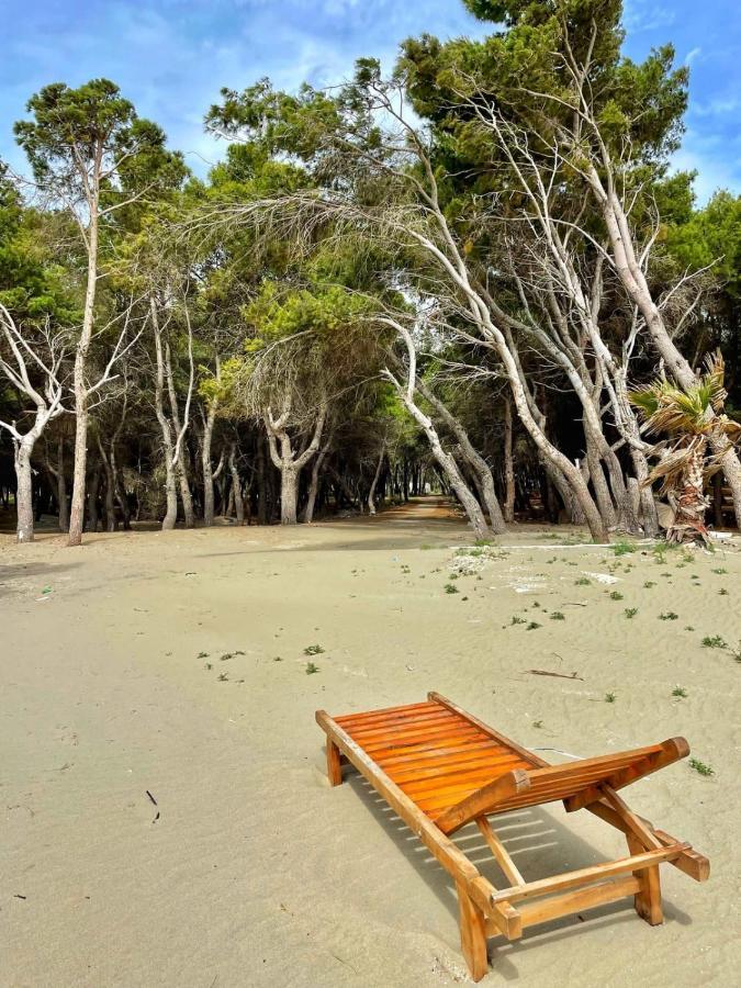 Villa Roel 2 Apartments Nr 88 Wlora Zewnętrze zdjęcie